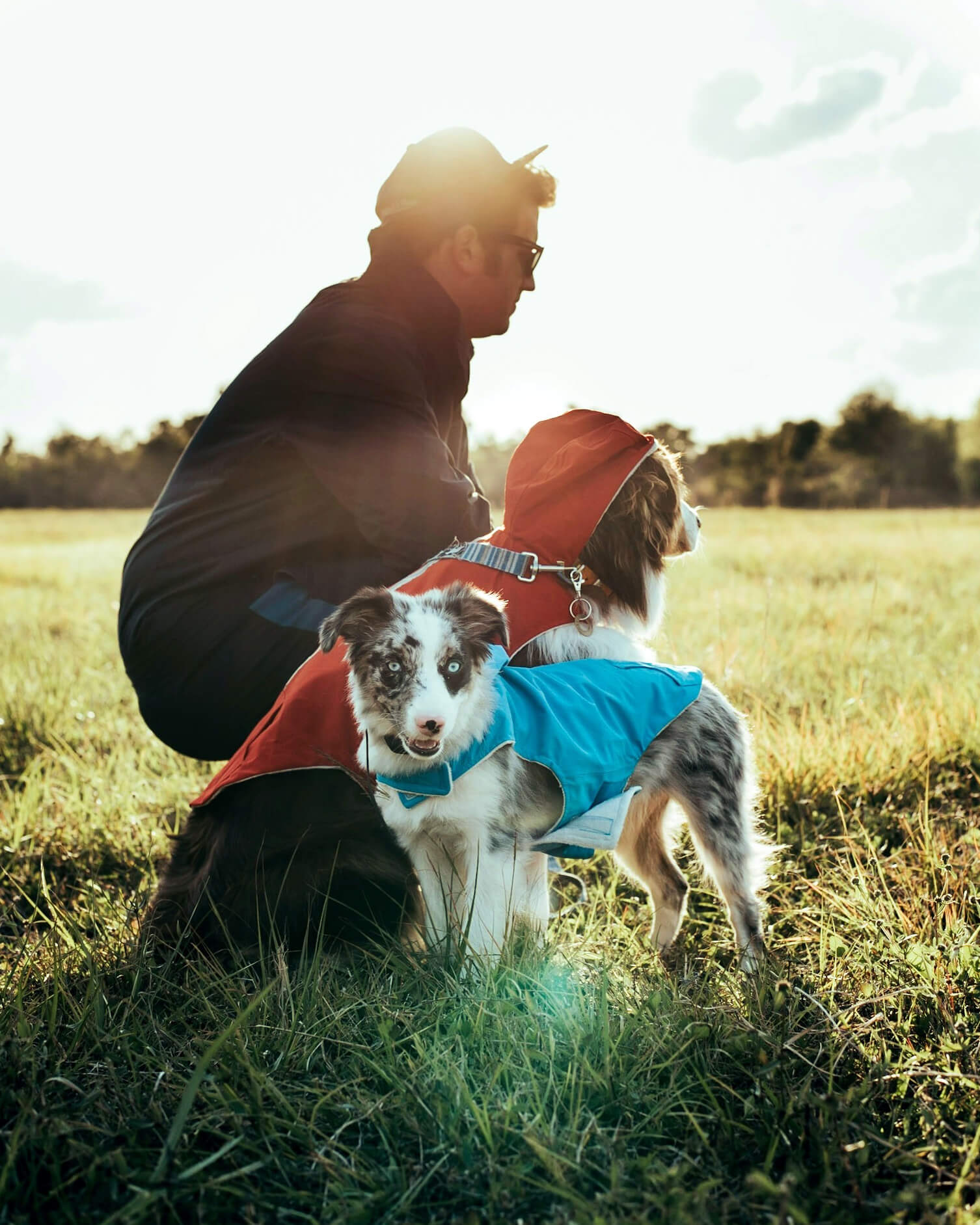 Dog Raincoat - Image 4